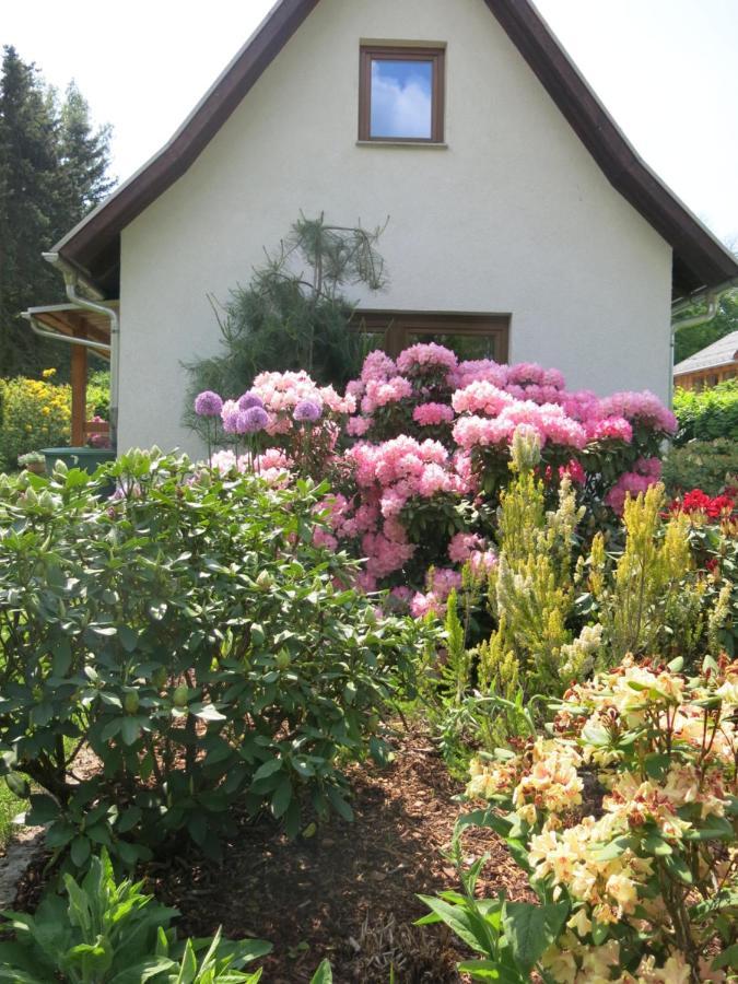 Ferienwohnung Privathaus Wehle Kurort Gohrisch Exterior foto